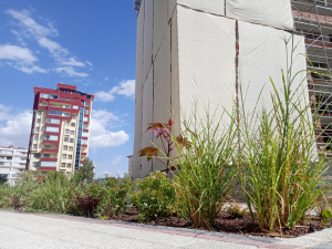 Aymanas Evleri | 1.10.2021 - F BLOK (3) 