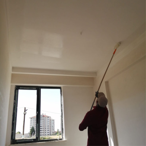 Aymanas Evleri | 24.6.2020 - D BLOK İÇ BOYA